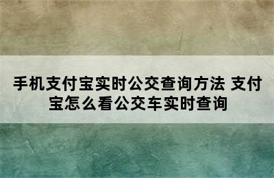 手机支付宝实时公交查询方法 支付宝怎么看公交车实时查询